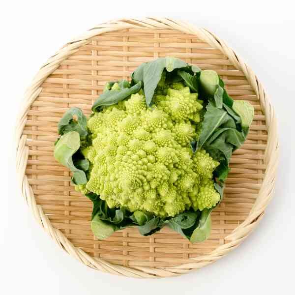 broccoli-romanesco-seeds-4 broccoli-romanesco-seeds-4