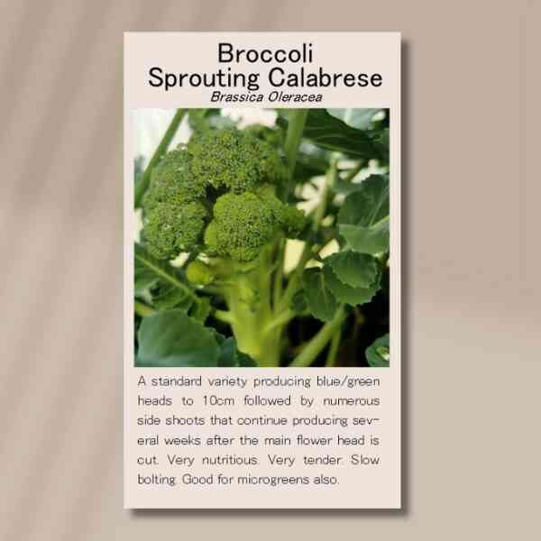 broccoli-sprouting-calabrese-seed-packet-front broccoli-sprouting-calabrese-seed-packet-front