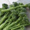 broccoli-sprouting calabrese-seeds-2