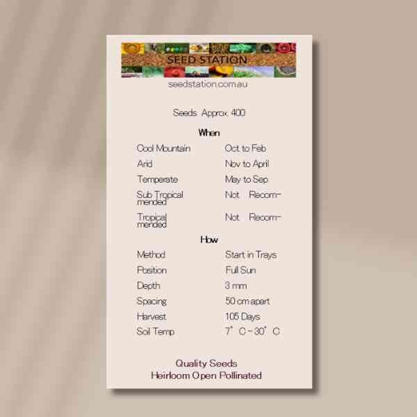 brussels-sprouts-long-island-improved-back brussels-sprouts-long-island-improved-back