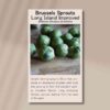 brussels-sprouts-long-island-improved-front
