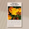 calendula- officinalis-front