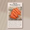 carrot-chantenay-front