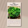 kale-dwarf-siberian-back