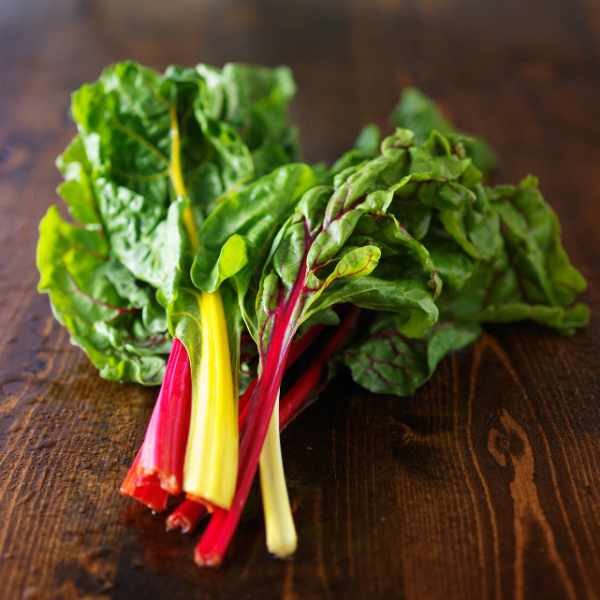 silverbeet-rainbow-chard-seed-1 silverbeet-rainbow-chard-seed-1