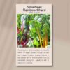 silverbeet-rainbow-chard-seed-packet-front