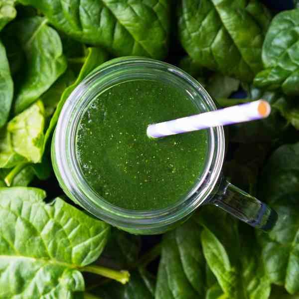 spinach-bloomsdale-seeds-2 spinach-bloomsdale-seeds-2