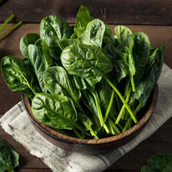 spinach-bloomsdale-seeds