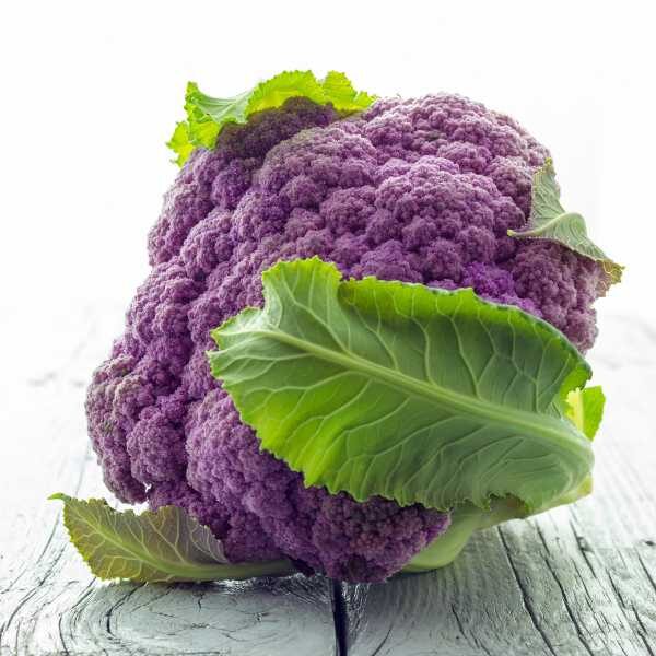 cauliflower-purple-sicily-seeds