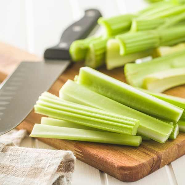 celery-sprouting-eln-green-seeds-3 celery-sprouting-eln-green-seeds-3