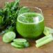 celery-sprouting-eln-green-seeds-4