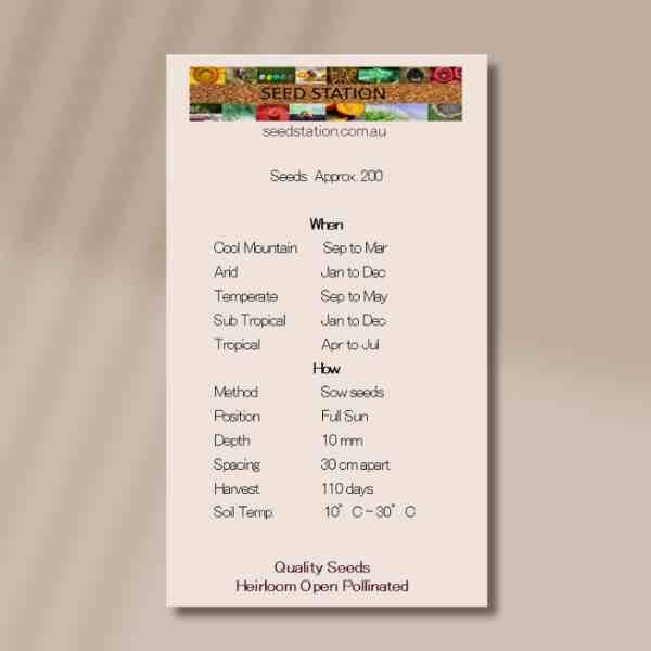 leek-autumn-giant-back leek-autumn-giant-back