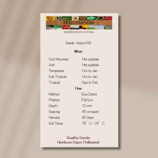 spinach-red-malabar-back spinach-red-malabar-back