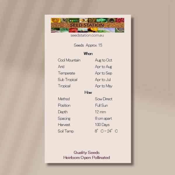 sweet-pea-colorama-back-1 sweet-pea-colorama-back-1