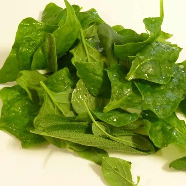 warragul-greens-seeds-3 (1) warragul-greens-seeds-3 (1)