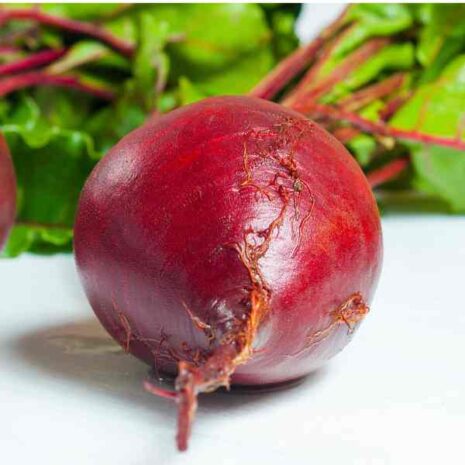 beetroot-detroit-seeds-4