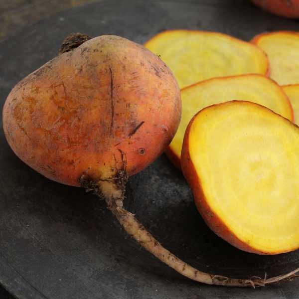 beetroot-golden-seeds Beetroot Golden chopped into slices
