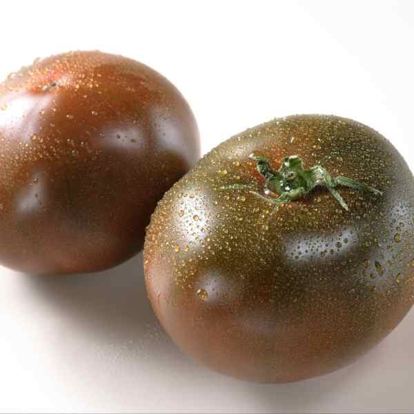 black-russian-tomato-seeds-1 black-russian-tomato-seeds-1