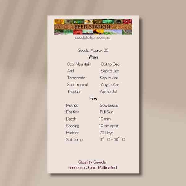 bush-bean-cherokee-wax-back bush-bean-cherokee-wax-back
