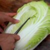 cabbage-michihli-seeds-2
