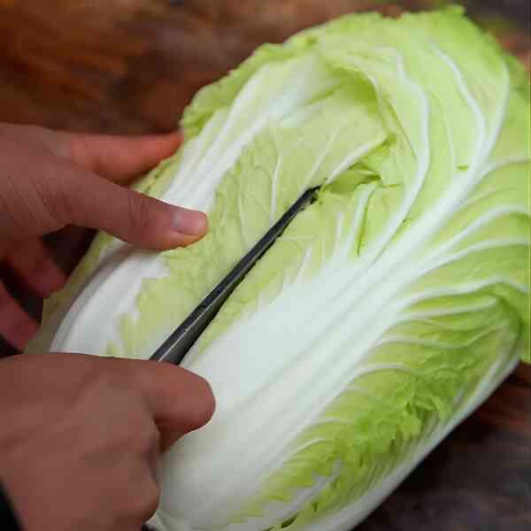 cabbage-michihli-seeds-2 cabbage-michihli-seeds-2