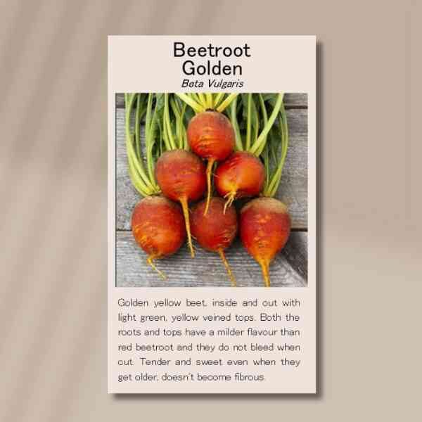 golden-beetroot-seeds-front golden-beetroot-seeds-front