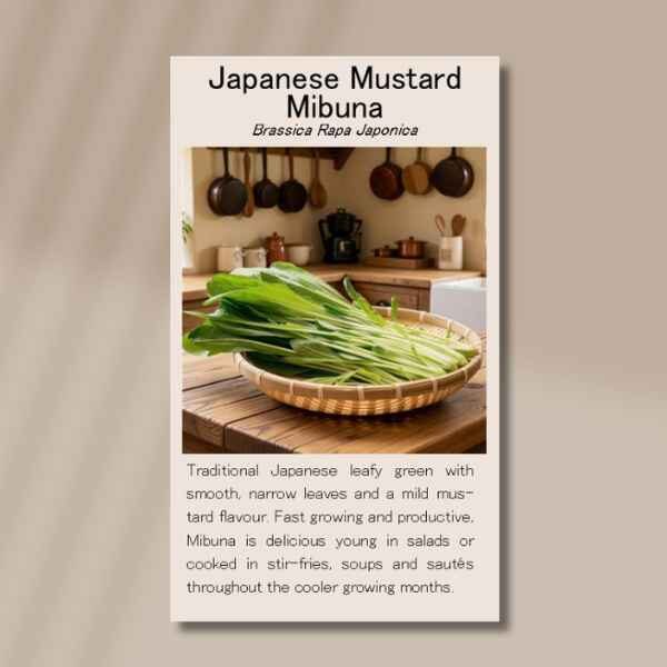 mibuna-front front of Mibuna seed packet