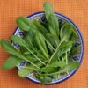 a bowl of mibuna leaves in a Moroccan style bowl on a gingham tablecloth