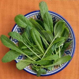 a bowl of mibuna leaves in a Moroccan style bowl on a gingham tablecloth