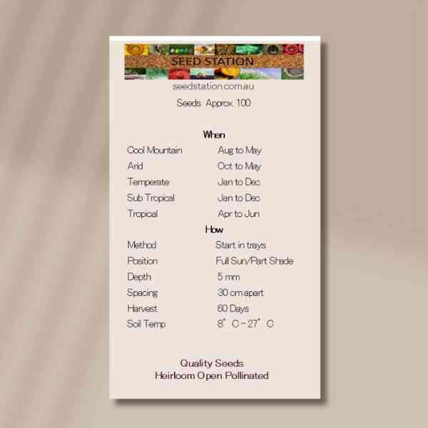 michihli-back michihli-back