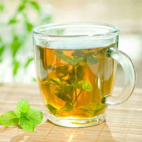 mint-spearmint-seeds-3 mint-spearmint-seeds-3