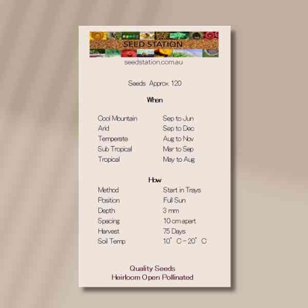 paris-island-back paris-island-back