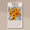 rudbeckia-goldilocks-front