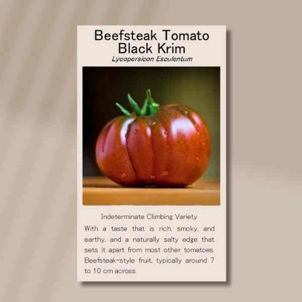 tomato-black-krim-front tomato-black-krim-front