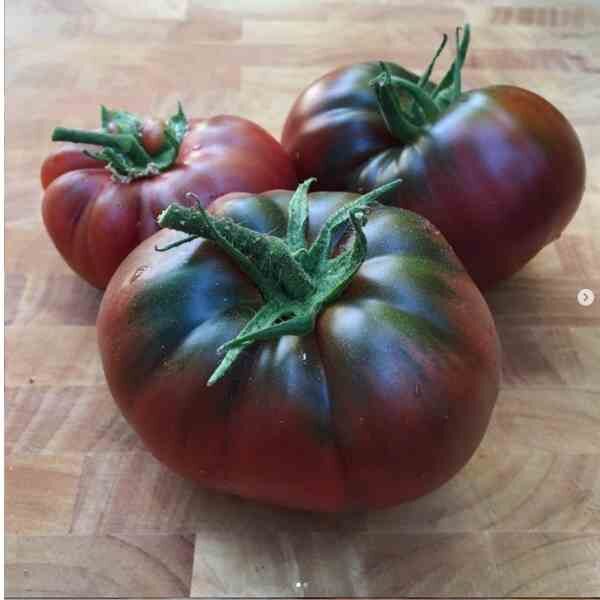 tomato-black-krim-seeds-2 tomato-black-krim-seeds-2