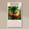 tomato-black-russian-front