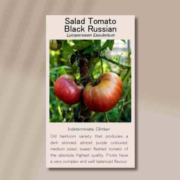 tomato-black-russian-front tomato-black-russian-front
