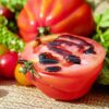 tomato-costoluto-fiorentino-seeds