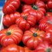 tomato-costoluto-fiorentino-seeds-2