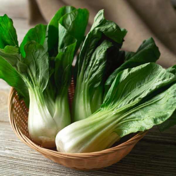 three bok choy plants in a wooden bowl