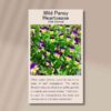 wild-pansy-front