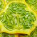 african-horned-cucumber-seeds-2