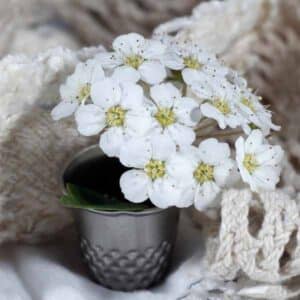 Alyssum Snow Cloth