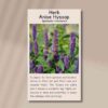 front side of anise hyssop seed packet