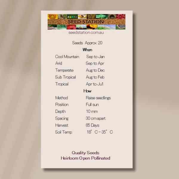 capsicum-yolo-wonder-seed-packet-back capsicum-yolo-wonder-seed-packet-back