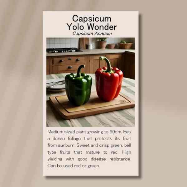 capsicum-yolo-wonder-seed-packet-front capsicum-yolo-wonder-seed-packet-front