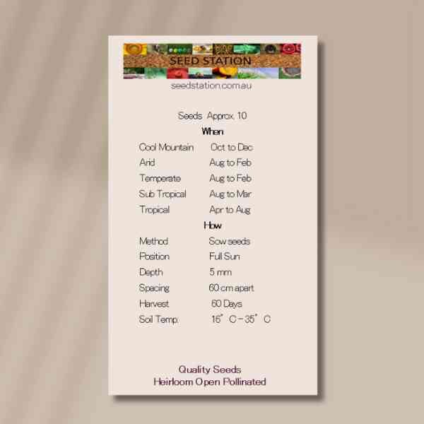 crystal-apple-back crystal-apple-back