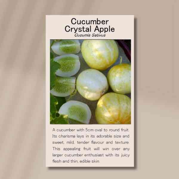 crystal-apple-front crystal-apple-front