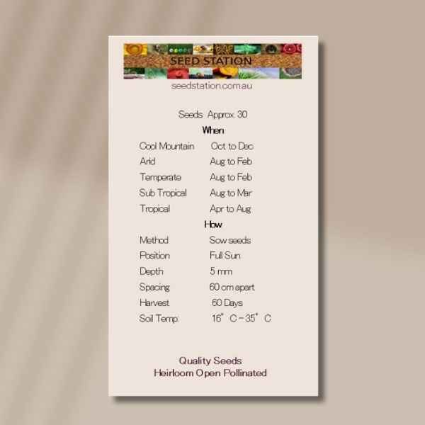cucumber-richmond-green-apple-back back of seed packet for cucumber seeds