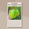 front of seed packet for richmond green apple cucumber